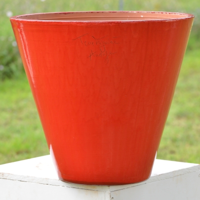 vase cosmos rouge